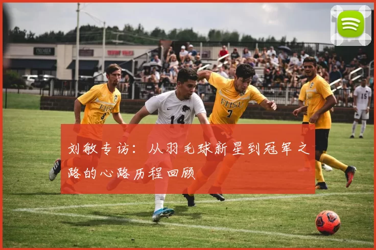 刘敏专访：从羽毛球新星到冠军之路的心路历程回顾