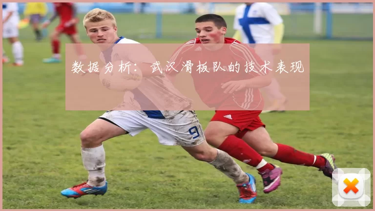 数据分析：武汉滑板队的技术表现