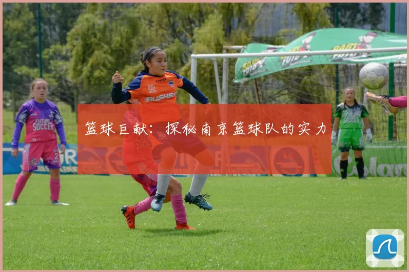 篮球巨献：探秘南京篮球队的实力