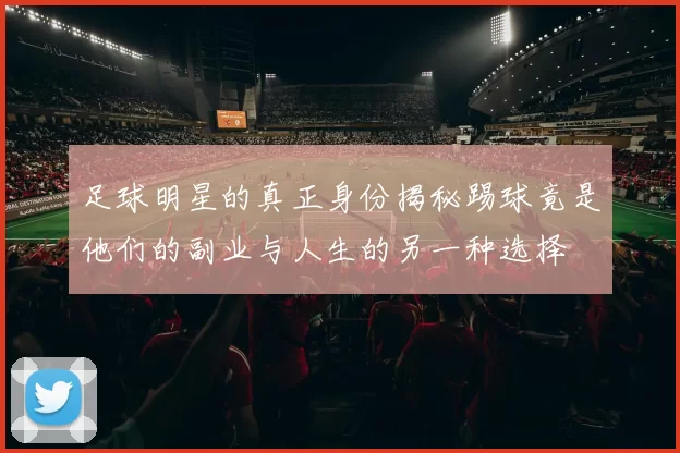足球明星的真正身份揭秘踢球竟是他们的副业与人生的另一种选择
