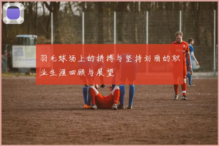 羽毛球场上的拼搏与坚持刘丽的职业生涯回顾与展望