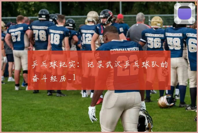 乒乓球纪实：记录武汉乒乓球队的奋斗经历_1